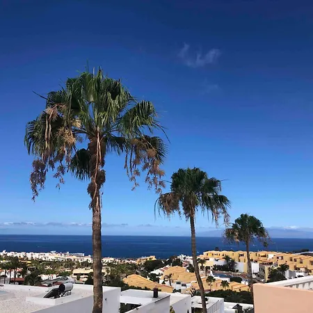 Paradise -
